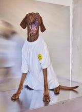 Butch is 70cm / 2' 4" and wearing size S
